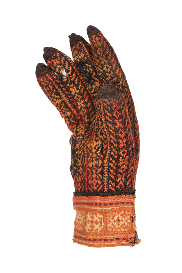 the glove back homeagain