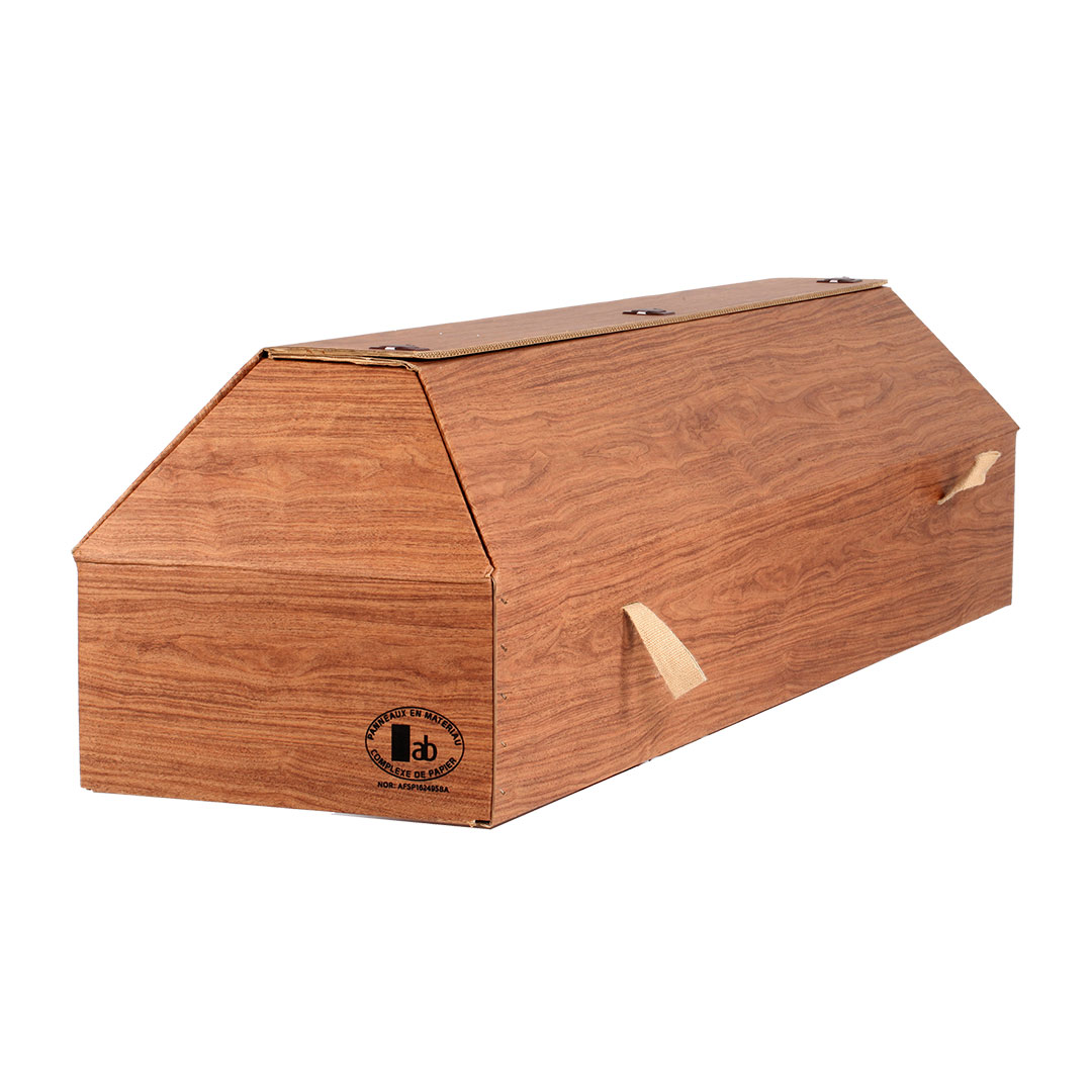 Environmentally friendly coffin