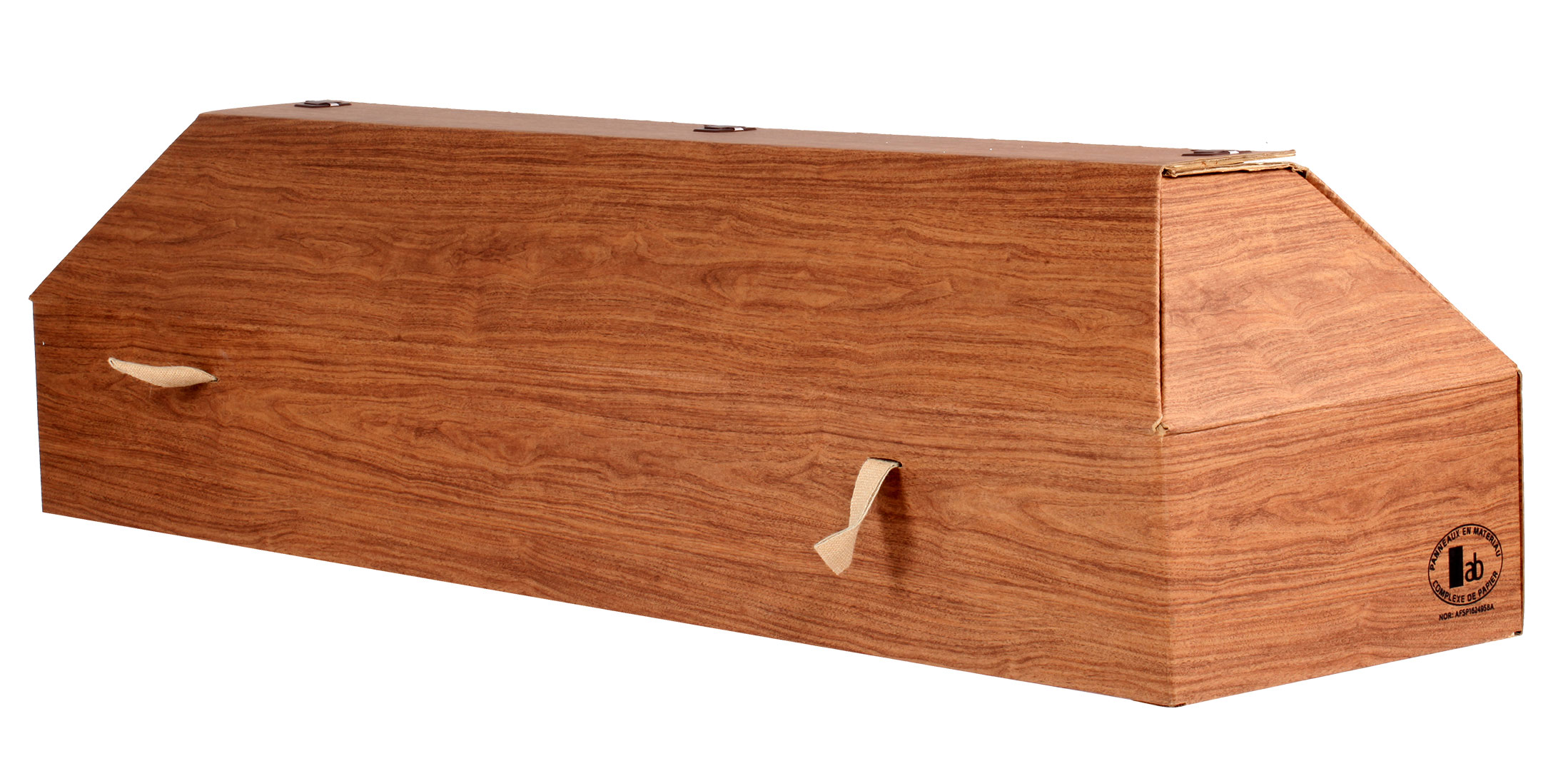 Environmentally friendly coffin 