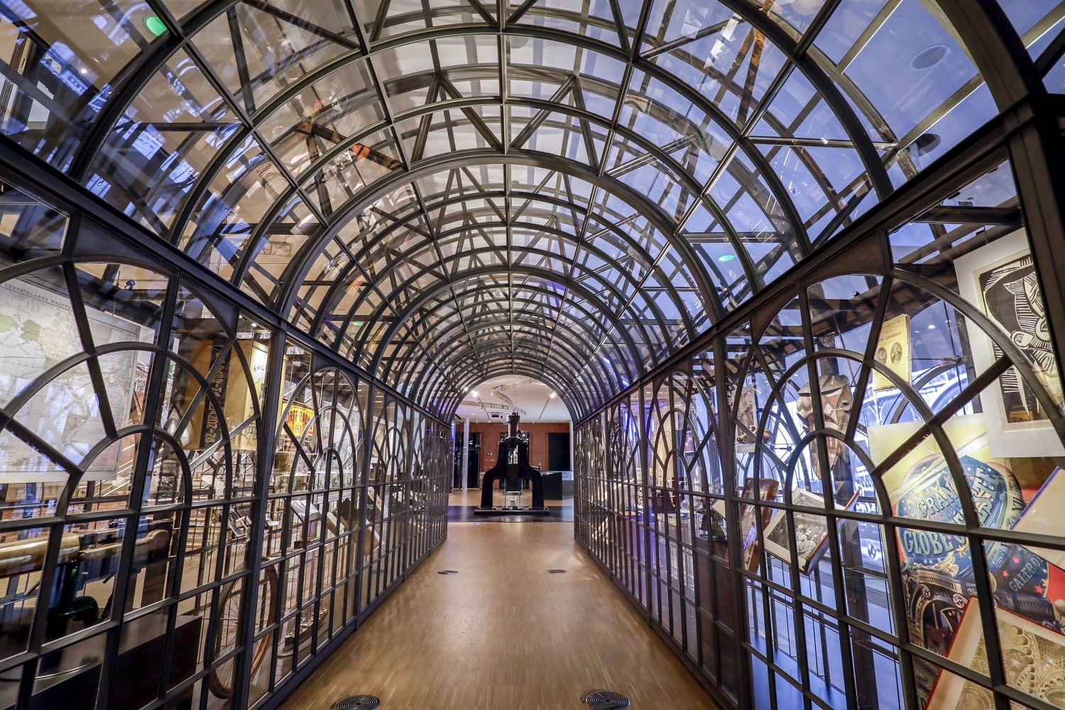 Glass expo display case