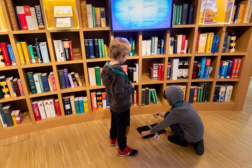 Two boys in front of book collection