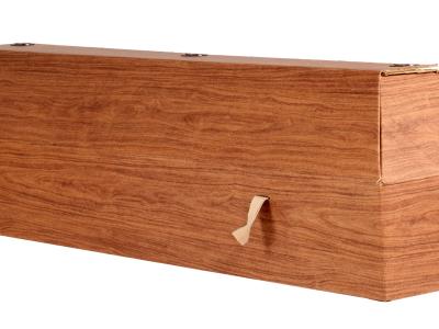Environmentally friendly coffin 