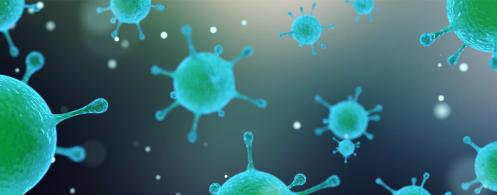 coronavirus