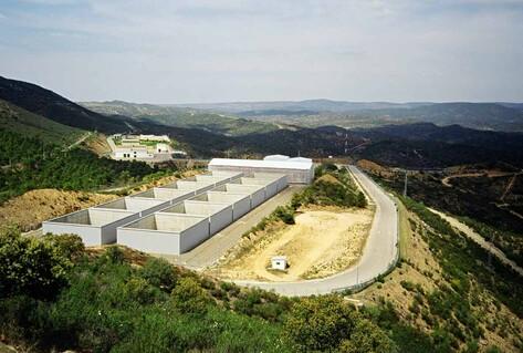 Radioactive plant on green mountain
