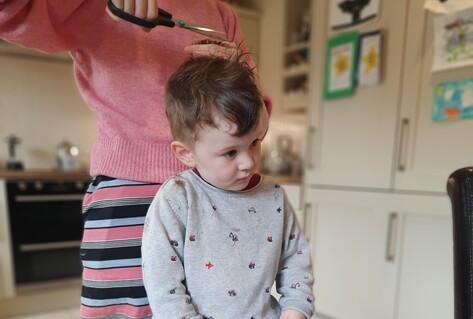 Boy on table at home having hair cut