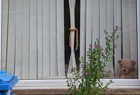 Teddy in window