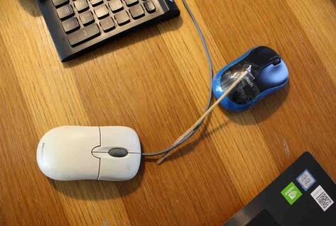 Two mouse chorded together