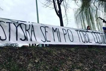 Imagen6