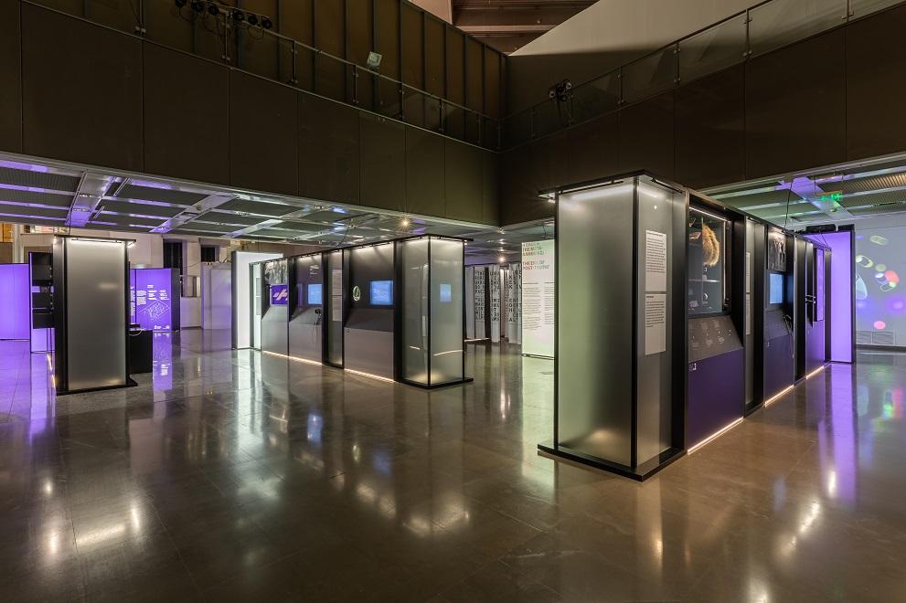 Display cases in Fake for Real exhibition